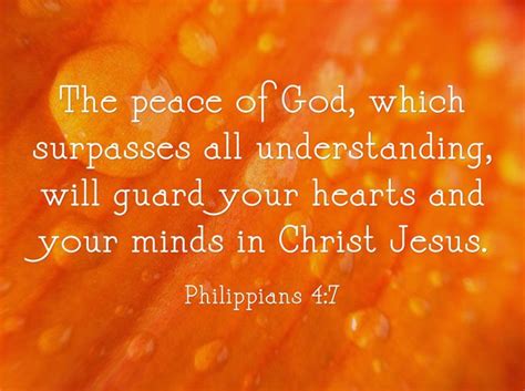 philippians 4:4 commentary|Philippians 4 Commentary .